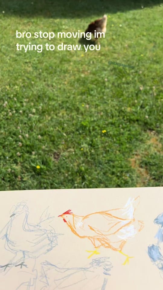 Post 1 by star (comms OPEN!) on TikTok (video)