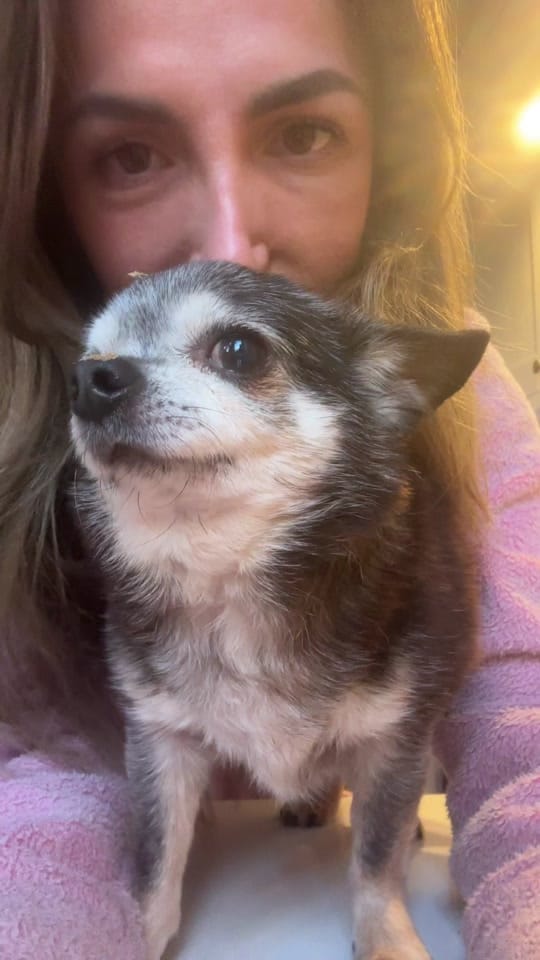 Post 9 by Snoop and friends on TikTok (video)