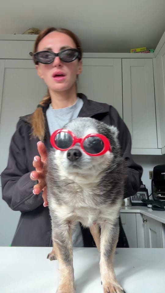 Post 6 by Snoop and friends on TikTok (video)