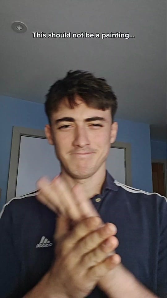 Post 3 by JamieLyonArts on TikTok (video)