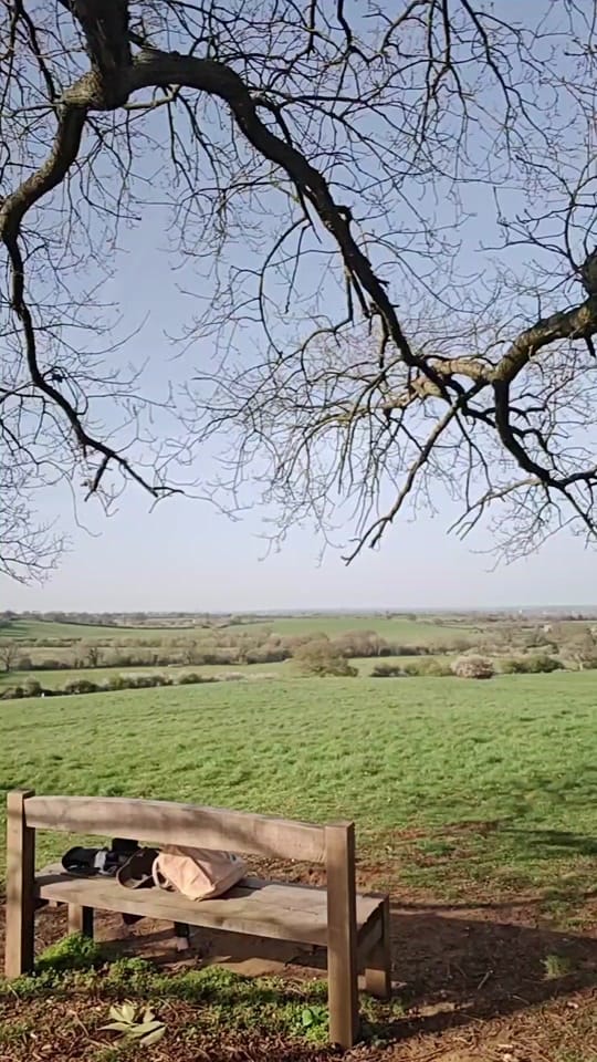 Post 7 by JamieLyonArts on TikTok (video)