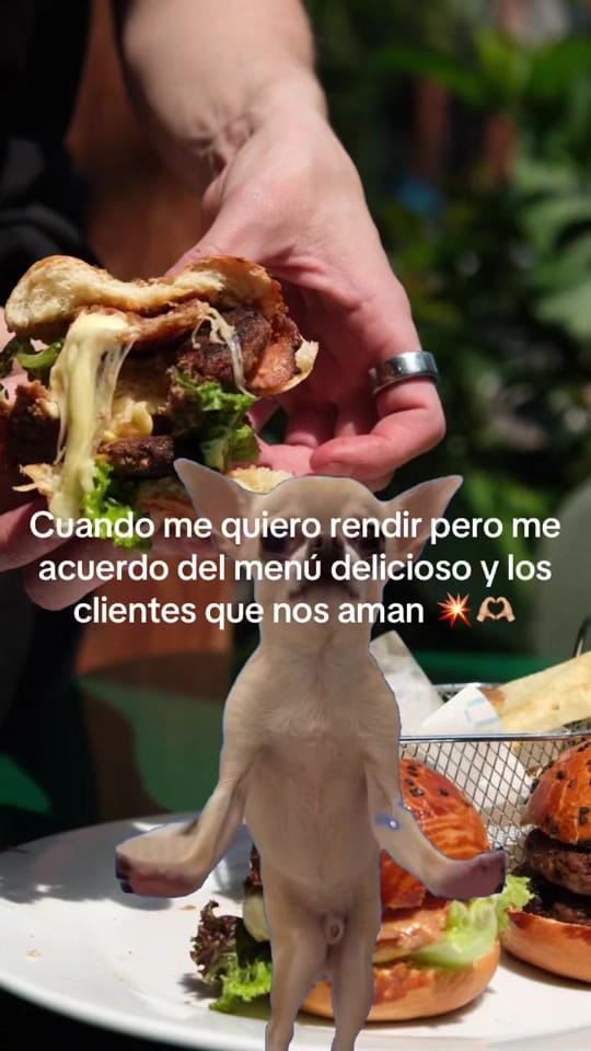 Post 8 by tutcafe.mx on TikTok (video)