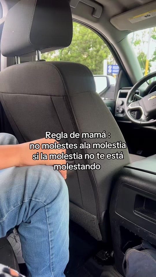 Post 9 by Adriana Silva on TikTok (video)