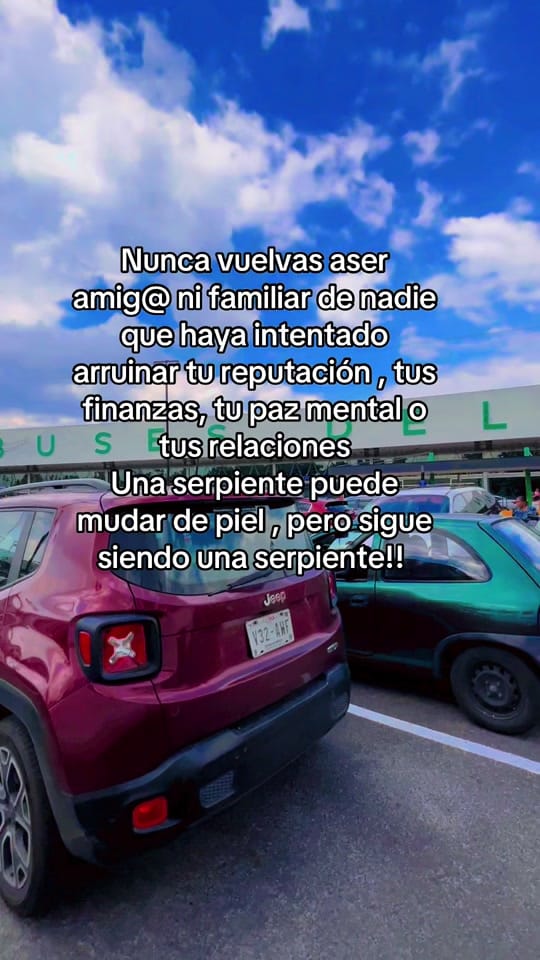 Post 10 by Adriana Silva on TikTok (video)