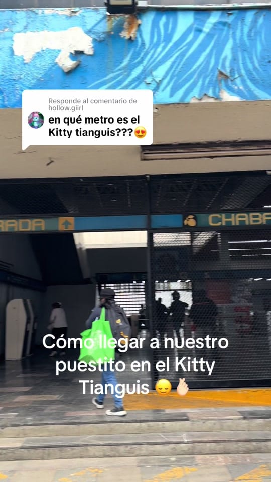 Post 2 by 💙 The cinna store mx 💙 on TikTok (video)