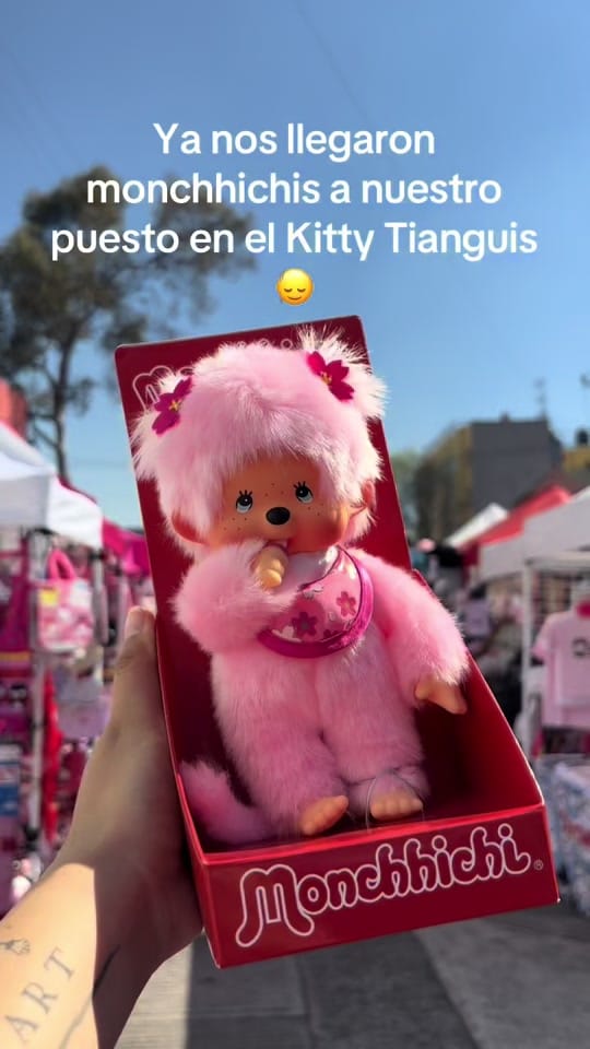 Post 4 by 💙 The cinna store mx 💙 on TikTok (video)