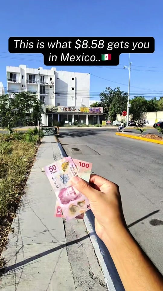 Post 4 by Michael Created on TikTok (video)