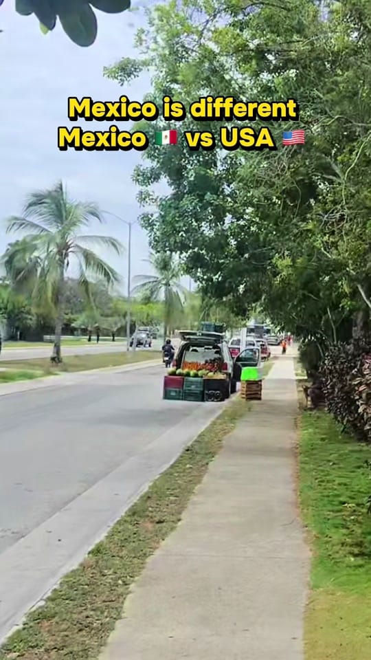 Post 6 by Michael Created on TikTok (video)