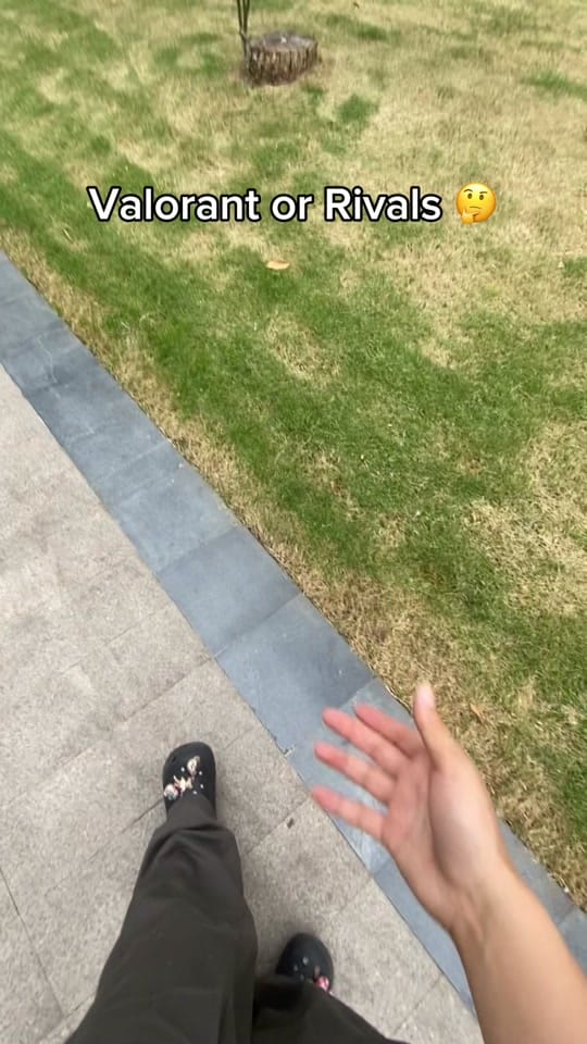 Post 6 by valorvanguard1 on TikTok (video)