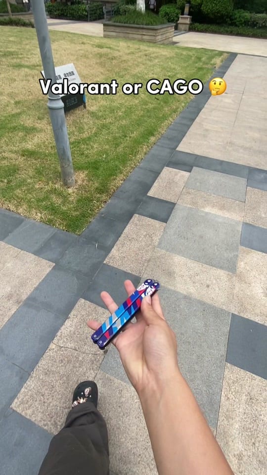 Post 5 by valorvanguard1 on TikTok (video)