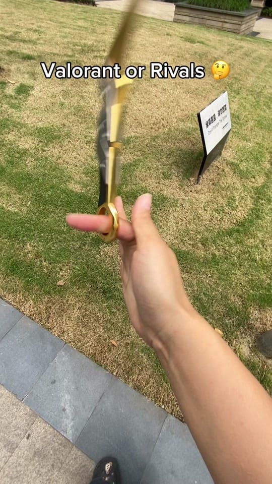 Post 8 by valorvanguard1 on TikTok (video)