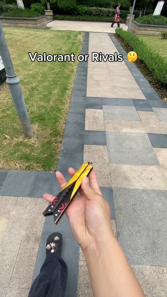 Post 9 by valorvanguard1 on TikTok (video)