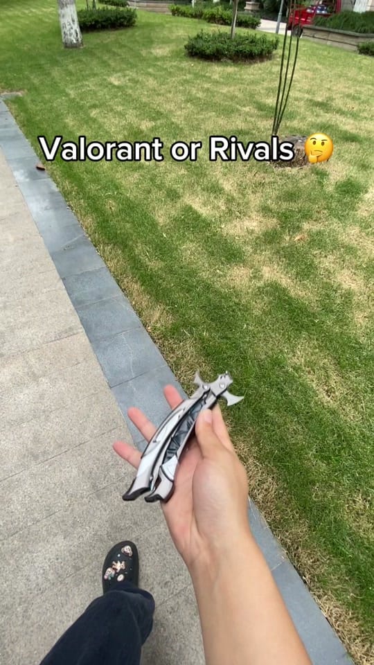 Post 3 by valorvanguard1 on TikTok (video)