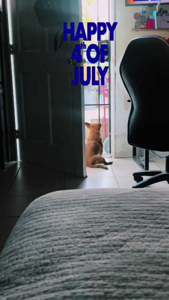 Post 9 by Kimberly Quintero on TikTok (video)