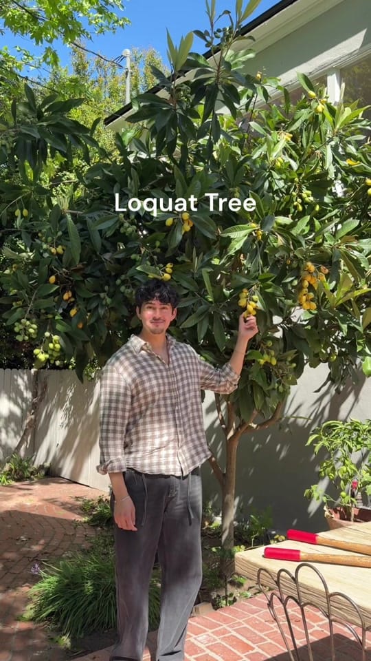 Post 6 by Marco Zamora on TikTok (video)