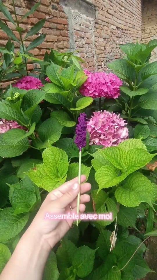 Post 7 by CROCHET / BRODERIE 🌼 on TikTok (video)