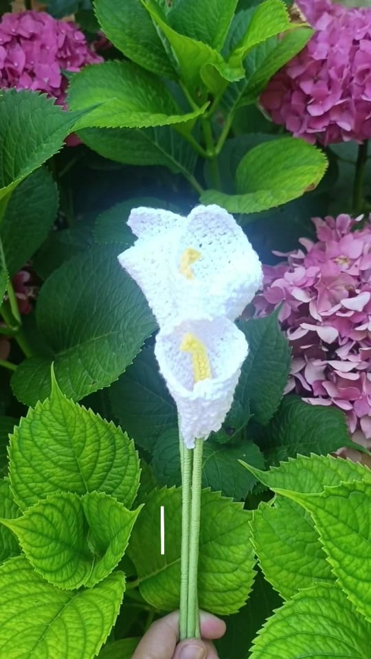 Post 6 by CROCHET / BRODERIE 🌼 on TikTok (video)