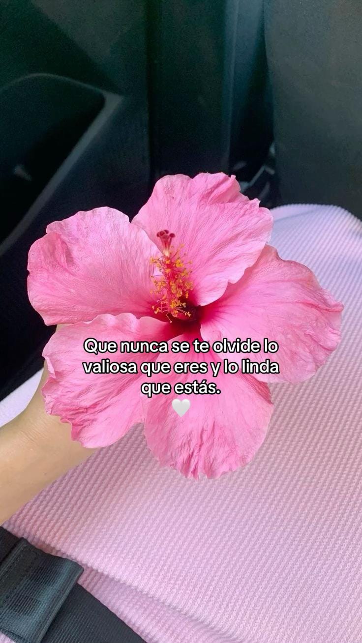 Post 10 by La maeta Ingrid 👩🏻‍🏫💗 on TikTok (video)