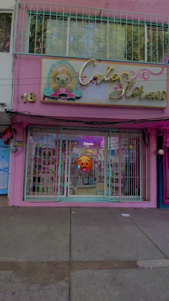 Post 8 by Cutestore00 🐶 on TikTok (video)