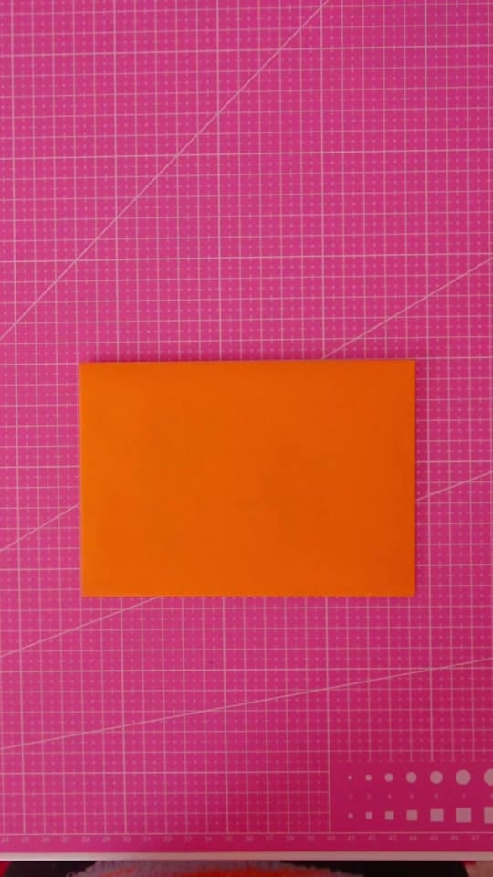 Post 1 by mayleemouse on TikTok (video)