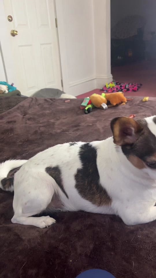 Post 10 by syringetobiscuit on TikTok (video)