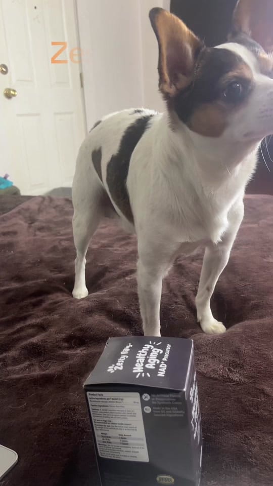 Post 5 by syringetobiscuit on TikTok (video)