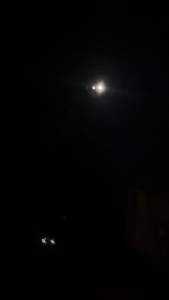 Post 7 by syringetobiscuit on TikTok (video)