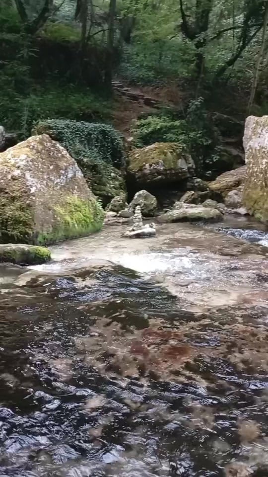 Post 7 by روعة عبيدي on TikTok (video)