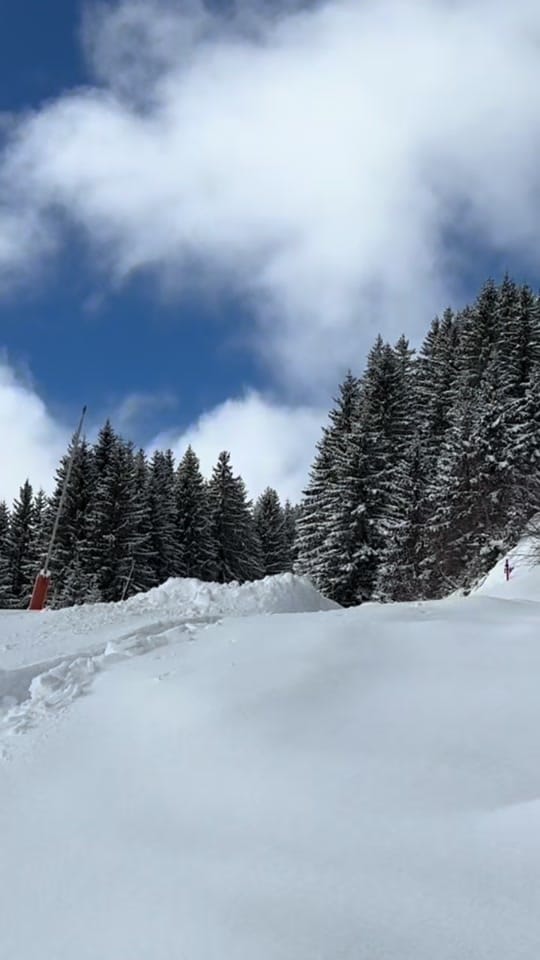 Post 3 by titouanaln.raw on TikTok (video)