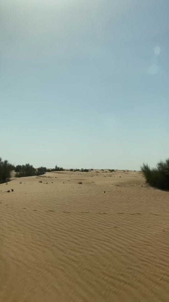Post 2 by Lamor Roso on TikTok (video)