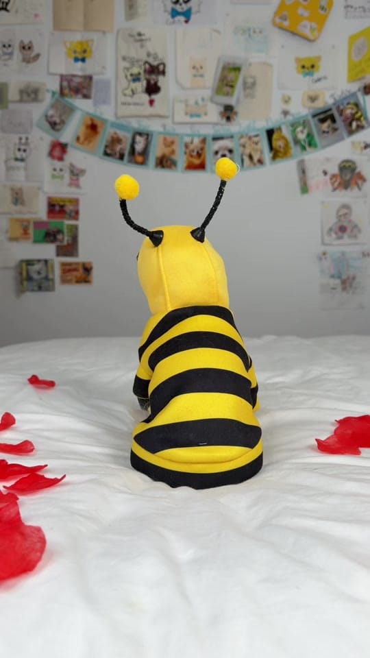 Post 2 by Tiny Chihuahua Cedric & Maya on TikTok (video)