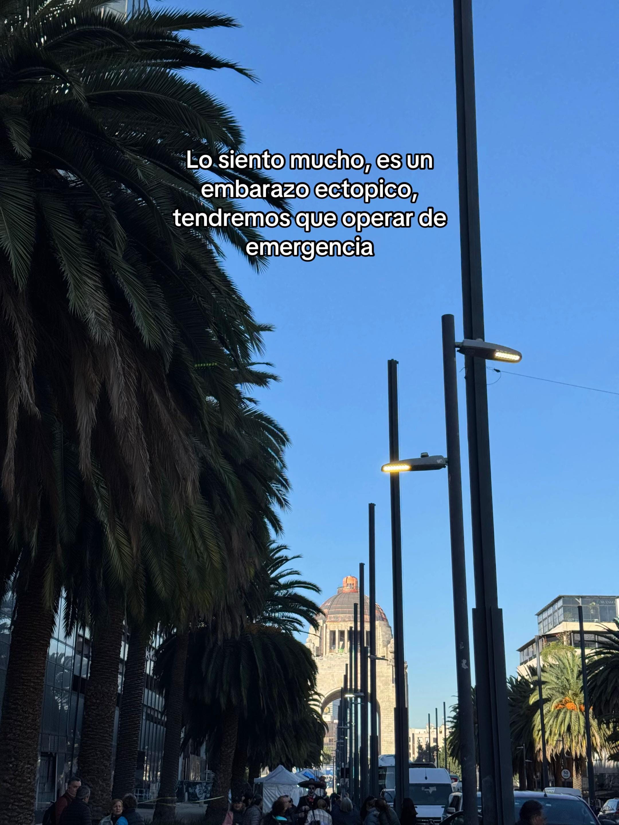 Post 8 by Ximena | Mommy Beauty Blogger on TikTok (video)