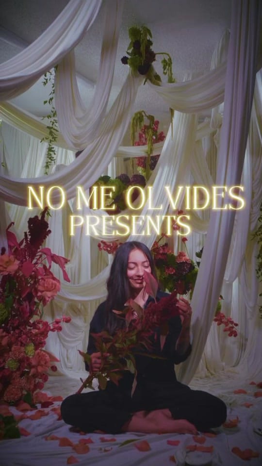Post 5 by NoMe | Artista Floral y Textil on TikTok (video)
