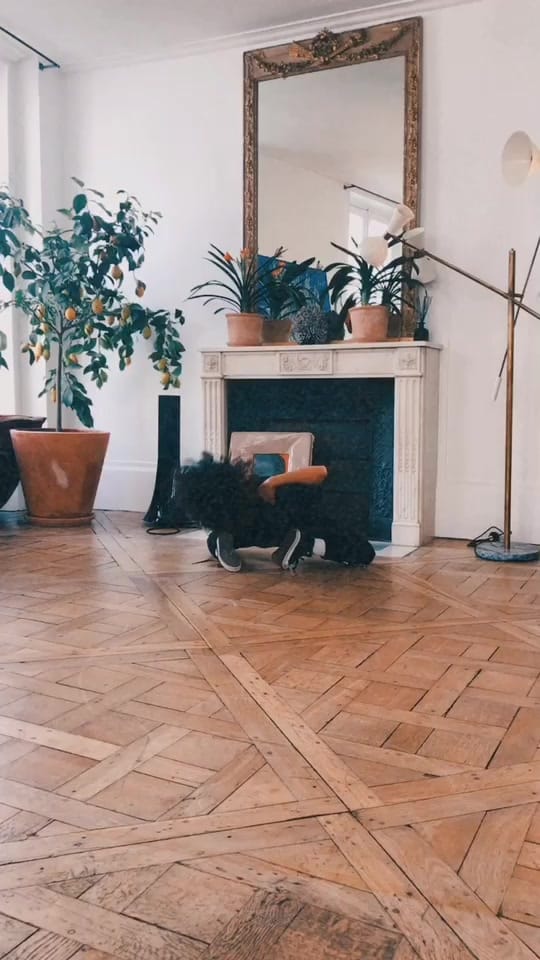 Post 6 by Inartwetrust_paris on TikTok (video)