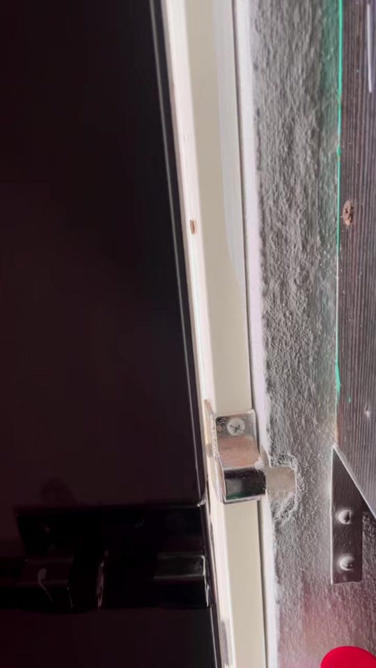 Post 6 by Liz Chan on TikTok (video)