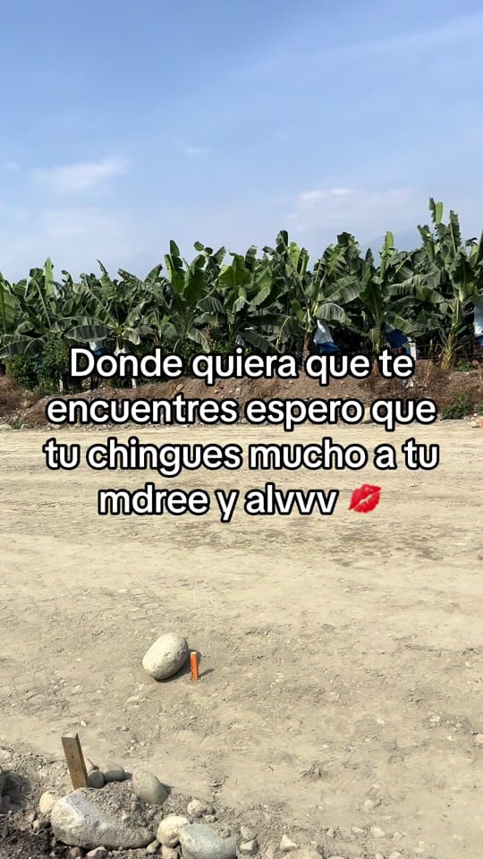 Post 3 by El_JuniorLeon 🦁 on TikTok (video)