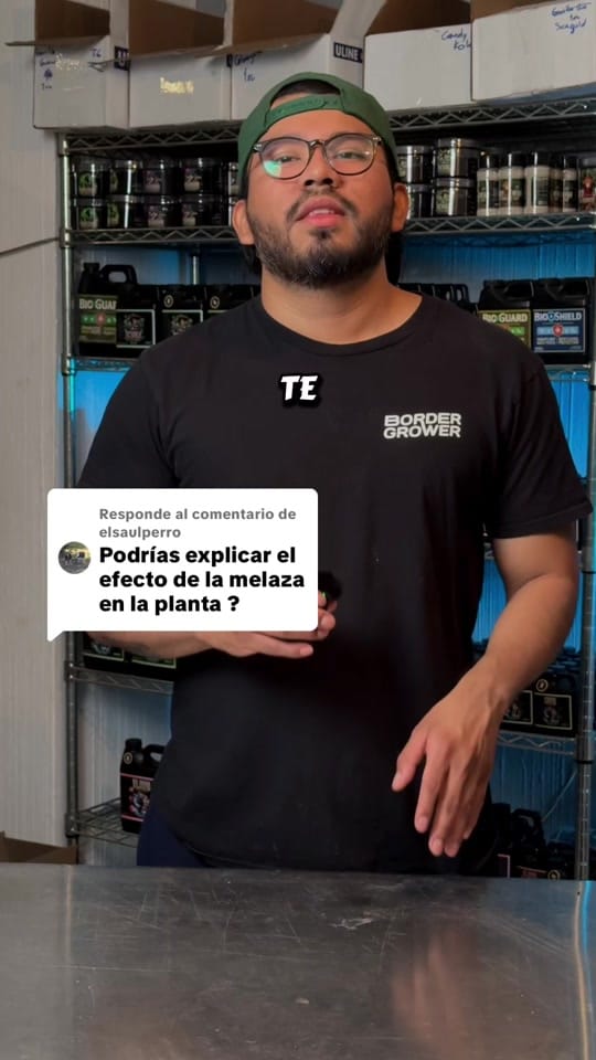 Post 10 by Tio Brócoli on TikTok (video)