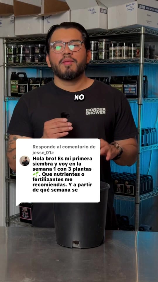 Post 8 by Tio Brócoli on TikTok (video)