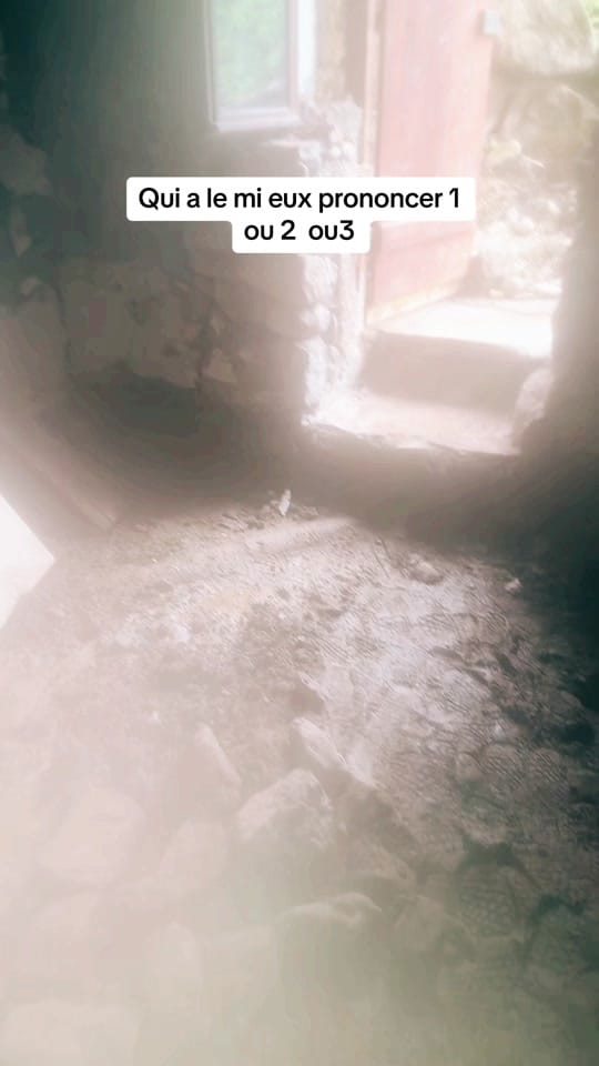 Post 4 by Koulibaly89 on TikTok (video)