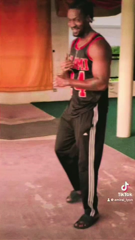 Post 8 by Amiral Lyon on TikTok (video)