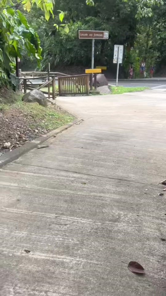 Post 9 by wayne_malic on TikTok (video)