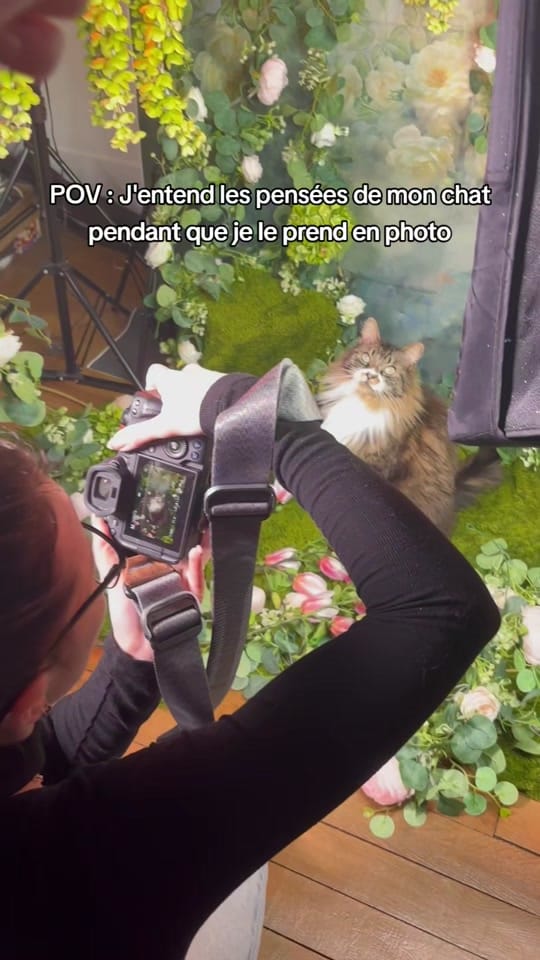 Post 6 by Shelly Antn on TikTok (video)