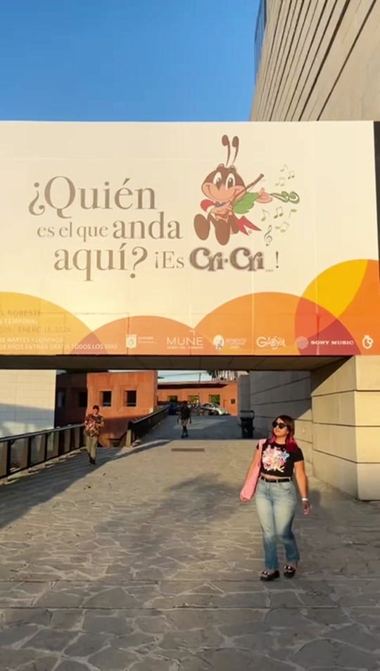 Post 9 by conejotoxico on TikTok (video)