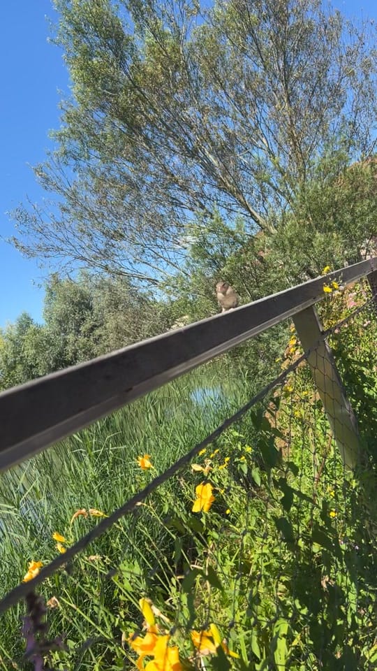 Post 10 by pauline.lasink on TikTok (video)