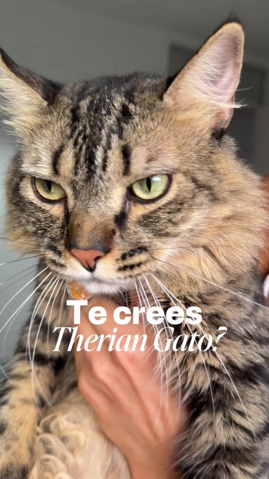 Post 7 by Lentes_de_contacto_peru on TikTok (video)