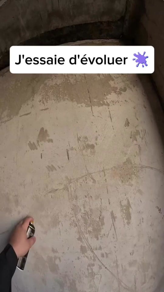 Post 3 by Le tagueur fou 🫟 on TikTok (video)