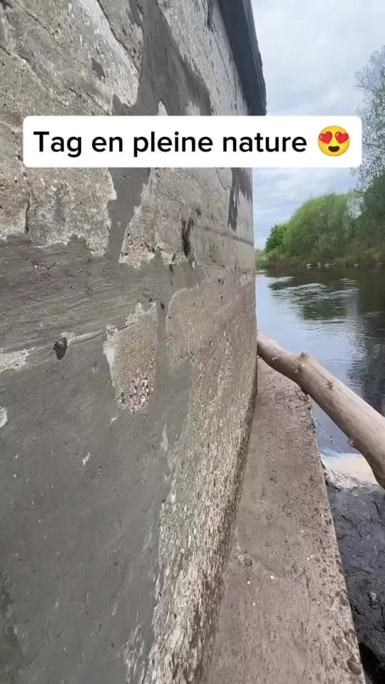 Post 2 by Le tagueur fou 🫟 on TikTok (video)