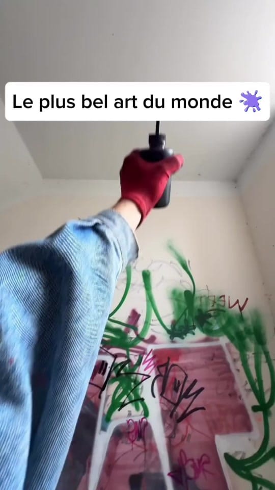 Post 6 by Le tagueur fou 🫟 on TikTok (video)