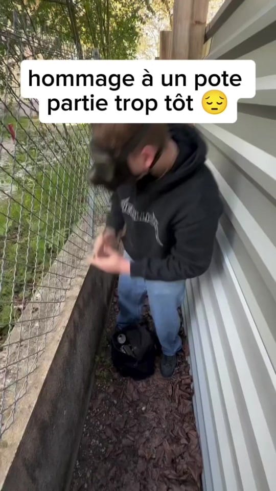 Post 7 by Le tagueur fou 🫟 on TikTok (video)