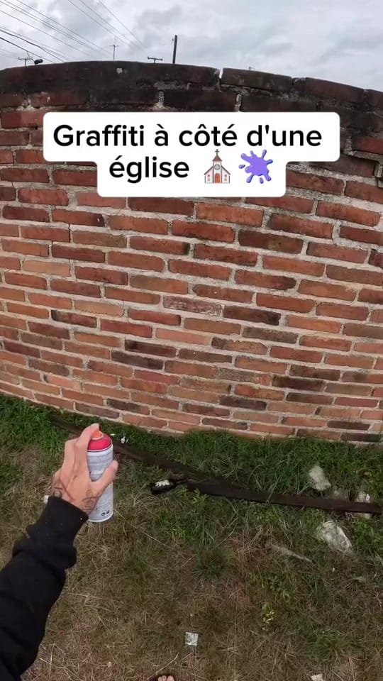 Post 4 by Le tagueur fou 🫟 on TikTok (video)